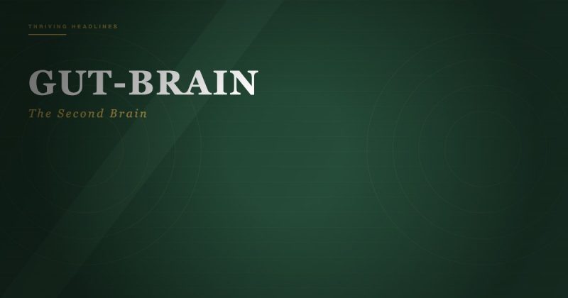 The Gut-Brain Axis: How Your Microbiome Rewires Your Mental Health